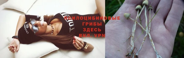Альфа ПВП Бугульма